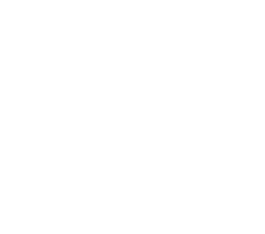 Balsa Lestari Primary Logo